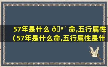 57年是什么 🪴 命,五行属性（57年是什么命,五行属性是什么意思）